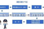 贵阳小型汽车摇号申请-贵阳小型汽车摇号申请流程