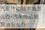 汽车传动轴渗油怎么办-汽车传动轴漏油怎么办