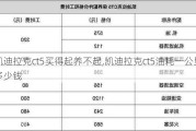 凯迪拉克ct5买得起养不起,凯迪拉克ct5油耗一公里多少钱