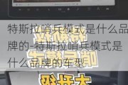 特斯拉哨兵模式是什么品牌的-特斯拉哨兵模式是什么品牌的车型