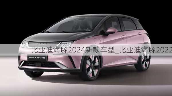 比亚迪海豚2024新款车型_比亚迪海豚2022