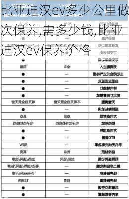 比亚迪汉ev多少公里做次保养,需多少钱,比亚迪汉ev保养价格