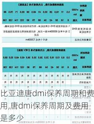 比亚迪唐dmi保养周期和费用,唐dmi保养周期及费用是多少