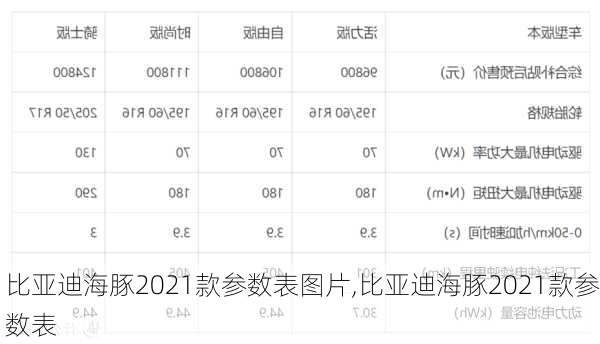 比亚迪海豚2021款参数表图片,比亚迪海豚2021款参数表