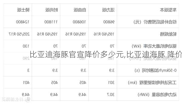 比亚迪海豚官宣降价多少元,比亚迪海豚 降价