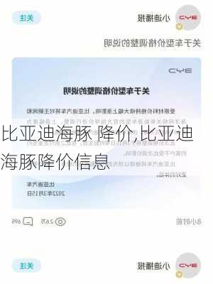 比亚迪海豚 降价,比亚迪海豚降价信息