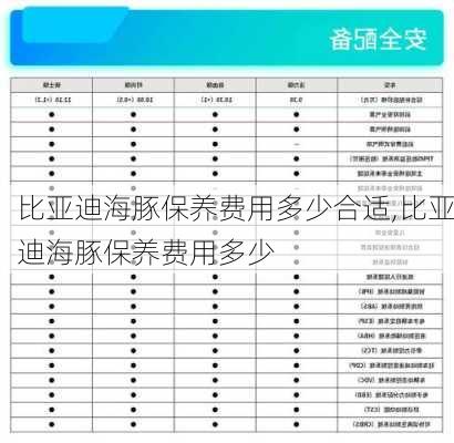 比亚迪海豚保养费用多少合适,比亚迪海豚保养费用多少