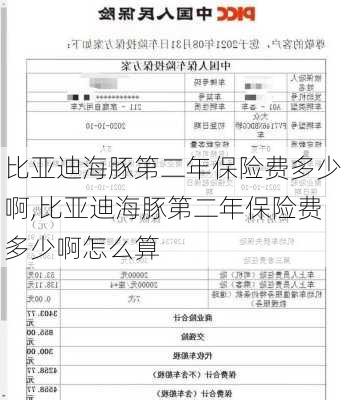 比亚迪海豚第二年保险费多少啊,比亚迪海豚第二年保险费多少啊怎么算