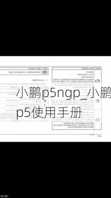 小鹏p5ngp_小鹏p5使用手册