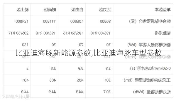 比亚迪海豚新能源参数,比亚迪海豚车型参数