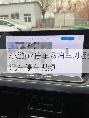 小鹏p7停车场泊车,小鹏汽车停车视频