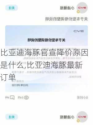 比亚迪海豚官宣降价原因是什么,比亚迪海豚最新订单