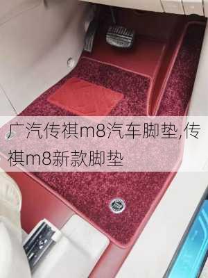 广汽传祺m8汽车脚垫,传祺m8新款脚垫