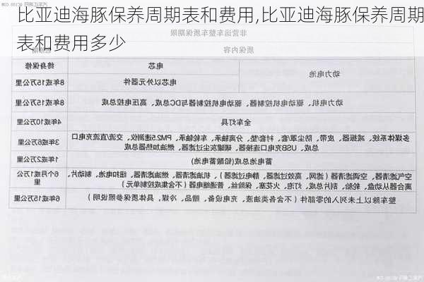 比亚迪海豚保养周期表和费用,比亚迪海豚保养周期表和费用多少