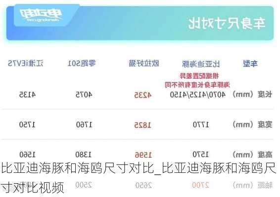 比亚迪海豚和海鸥尺寸对比_比亚迪海豚和海鸥尺寸对比视频