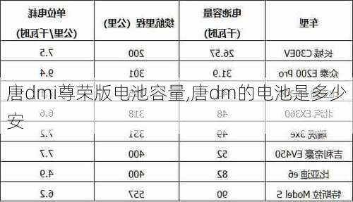 唐dmi尊荣版电池容量,唐dm的电池是多少安