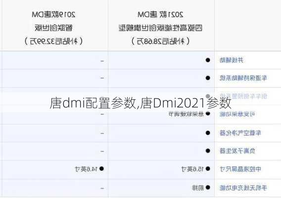 唐dmi配置参数,唐Dmi2021参数