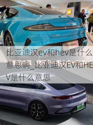 比亚迪汉ev和hev是什么意思啊_比亚迪汉EV和HEV是什么意思