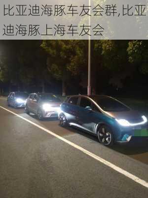 比亚迪海豚车友会群,比亚迪海豚上海车友会