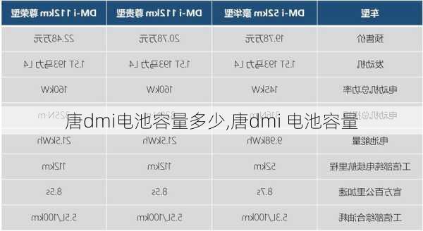 唐dmi电池容量多少,唐dmi 电池容量