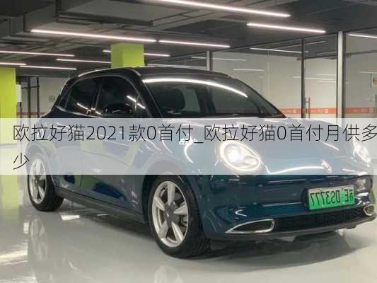 欧拉好猫2021款0首付_欧拉好猫0首付月供多少