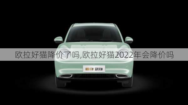 欧拉好猫降价了吗,欧拉好猫2022年会降价吗