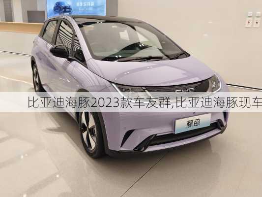 比亚迪海豚2023款车友群,比亚迪海豚现车