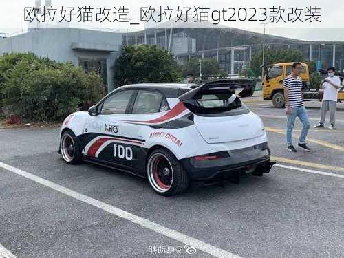 欧拉好猫改造_欧拉好猫gt2023款改装