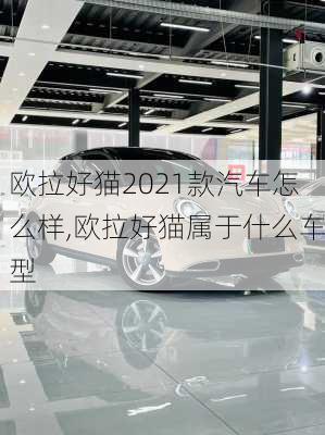 欧拉好猫2021款汽车怎么样,欧拉好猫属于什么车型