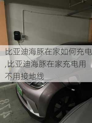 比亚迪海豚在家如何充电,比亚迪海豚在家充电用不用接地线