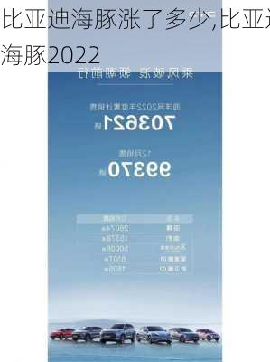 比亚迪海豚涨了多少,比亚迪海豚2022