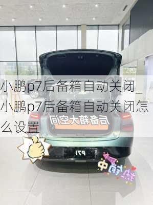 小鹏p7后备箱自动关闭_小鹏p7后备箱自动关闭怎么设置