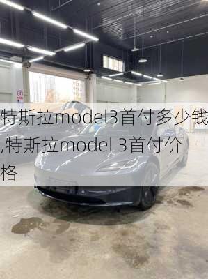 特斯拉model3首付多少钱,特斯拉model 3首付价格