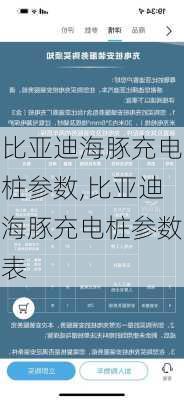 比亚迪海豚充电桩参数,比亚迪海豚充电桩参数表