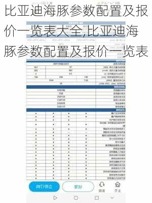 比亚迪海豚参数配置及报价一览表大全,比亚迪海豚参数配置及报价一览表