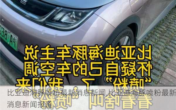 比亚迪海豚喷粉最新消息新闻,比亚迪海豚喷粉最新消息新闻报道