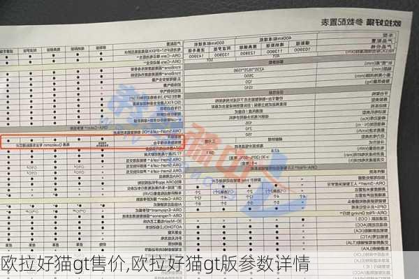 欧拉好猫gt售价,欧拉好猫gt版参数详情