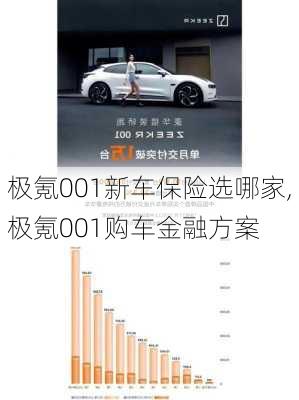 极氪001新车保险选哪家,极氪001购车金融方案