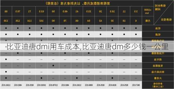 比亚迪唐dmi用车成本,比亚迪唐dm多少钱一公里