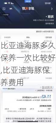 比亚迪海豚多久保养一次比较好,比亚迪海豚保养费用