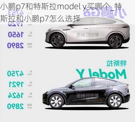 小鹏p7和特斯拉model y买哪个_特斯拉和小鹏p7怎么选择