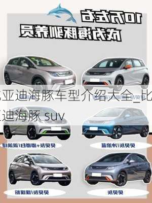 比亚迪海豚车型介绍大全_比亚迪海豚 suv