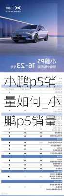 小鹏p5销量如何_小鹏p5销量