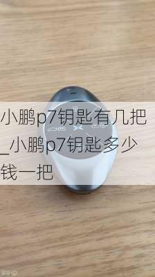 小鹏p7钥匙有几把_小鹏p7钥匙多少钱一把