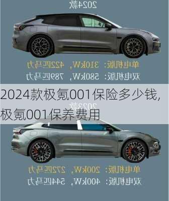 2024款极氪001保险多少钱,极氪001保养费用