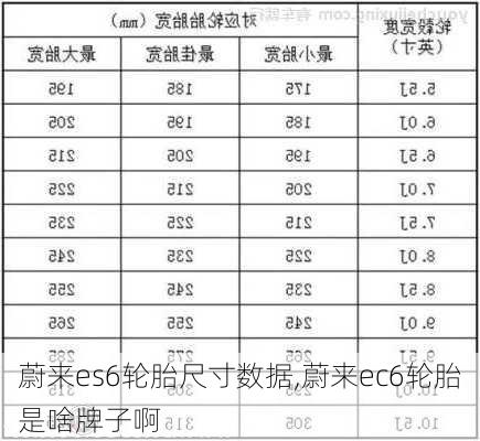 蔚来es6轮胎尺寸数据,蔚来ec6轮胎是啥牌子啊