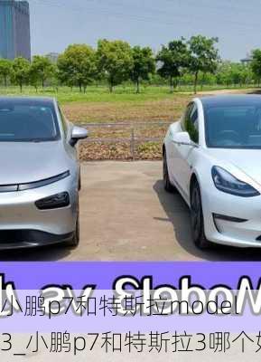 小鹏p7和特斯拉model 3_小鹏p7和特斯拉3哪个好