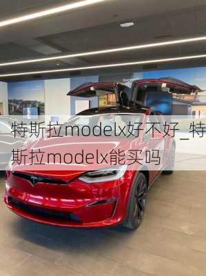 特斯拉modelx好不好_特斯拉modelx能买吗