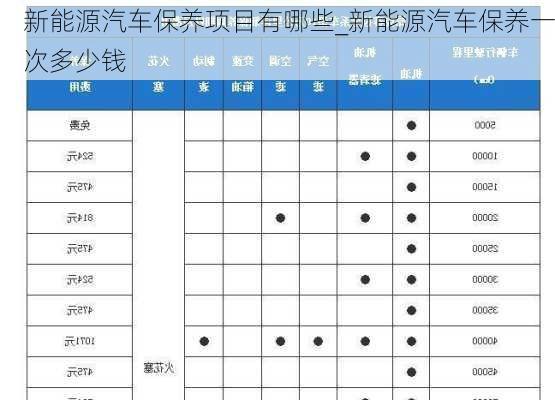 新能源汽车保养项目有哪些_新能源汽车保养一次多少钱