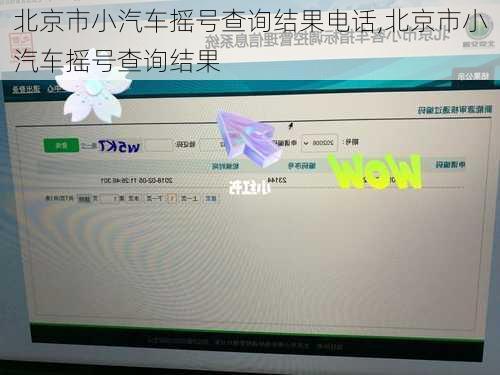 北京市小汽车摇号查询结果电话,北京市小汽车摇号查询结果
